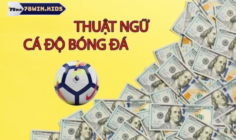 Top 9+ Thuật Ngữ Cá Cược Bóng Đá Phổ Biến Bạn Nên Biết