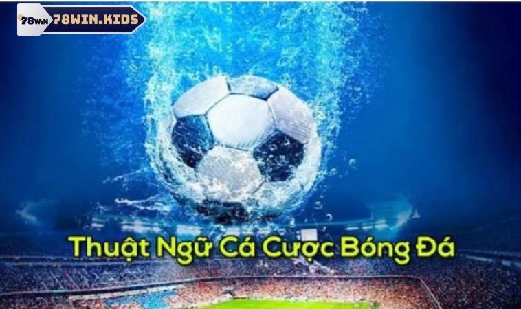 Thuật ngữ cá độ bóng đá có vai trò quan trọng với game thủ